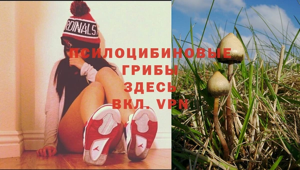 альфа пвп Беломорск