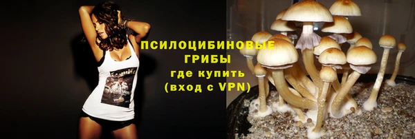 скорость mdpv Белокуриха