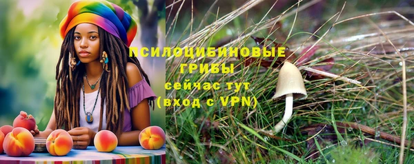 альфа пвп Беломорск
