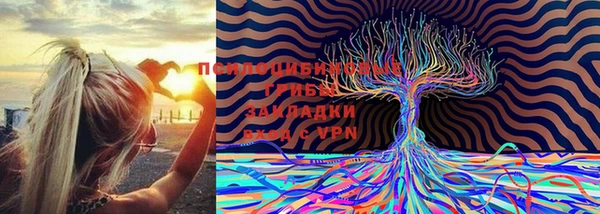 скорость mdpv Белокуриха